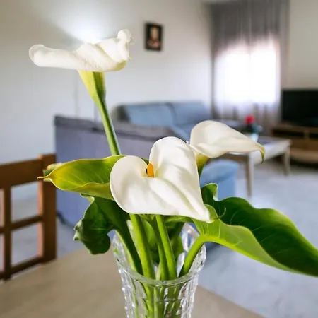 Apartamento Turísticos La Castilleja