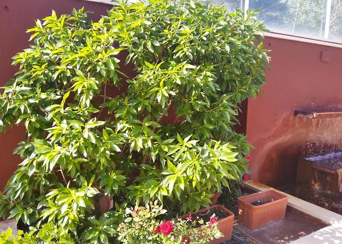 Turisticos La Castilleja Διαμέρισμα *