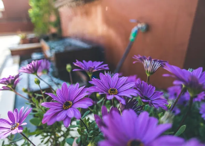 Turisticos La Castilleja Lägenhet