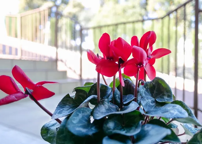 Turisticos La Castilleja * Córdoba