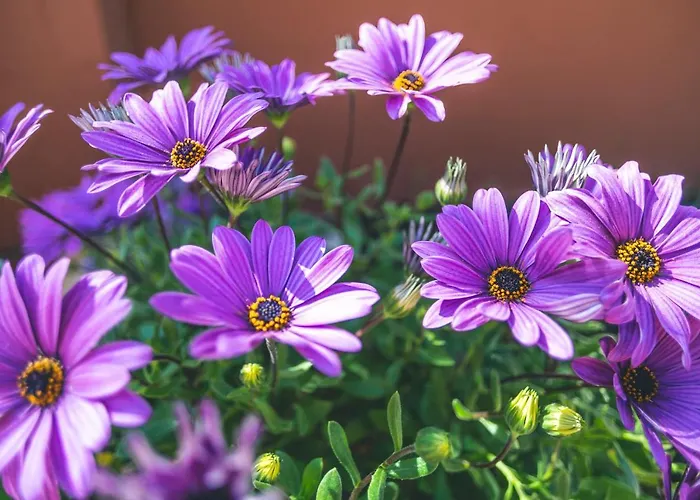 Turisticos La Castilleja